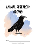 Crows - Animal Research