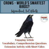 Crows - World's Smartest Birds? Informational Text Activity