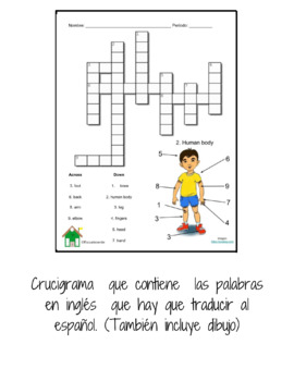 Crucigrama del Cuerpo humano (Digipuzzle.net) - Didactalia: material  educativo