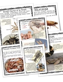 Crustacean Unit and Lap Book