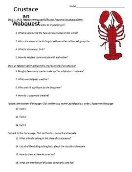 Preview of Crustacean (arthropod) Webquest