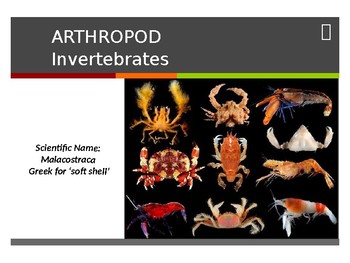 Preview of Science Classification Arthropods: Characteristics of Crabs, Lobsters & Shrimp
