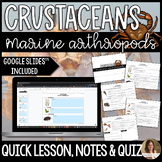 Phylum Arthropoda Crustaceans Lesson, Guided Notes & Asses