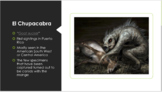 Cryptozoology Bundle