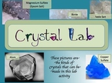 Crystal Lab and Complete Lesson Plan (Mineral Formation)