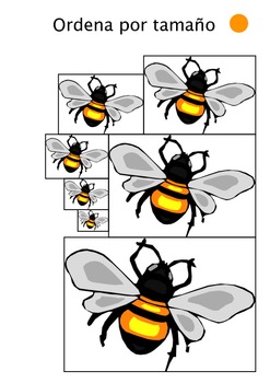 https://ecdn.teacherspayteachers.com/thumbitem/Cuaderno-de-estudio-sobre-insectos-y-bichos-060555900-1387780213-1500875413/original-1028812-4.jpg