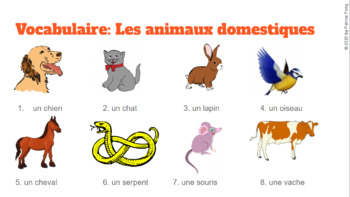 Cue Card Vocabulary - Les animaux domestiques by pricelessfancy