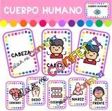 Cuerpo humano - Tarjetas de vocabulario - Colour me Confetti