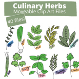 Culinary Herbs Clip Art Pack | Clipart Moveable Pieces for