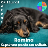Cultural Corner (Spanish) Primera perrita con prótesis