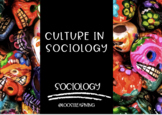 Culture PowerPoint (HS Sociology Elective)
