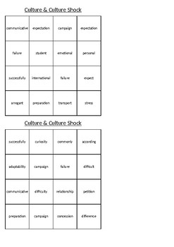 Preview of Culture Shock Vocabulary Bingo