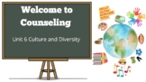 Culture and Diversity Lessons Bundle- Distance Learning