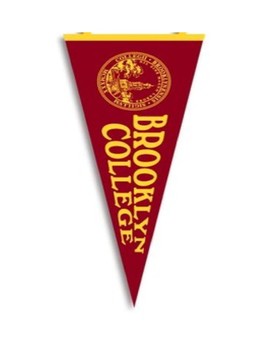 Preview of Cuny college flags pennant banner