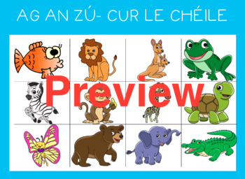 Preview of Cur le chéile. Matching game, bingo and vocabulary pack for all ages!