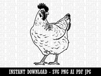 marketplace clipart black and white hen