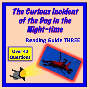 Preview of Curious Incident of the Dog Reading Guide 3