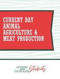 Current Day Animal Agriculture and Meat Production