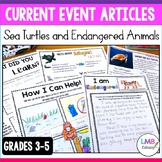 Current Event Article, Save the Sea Turtles and Endangered