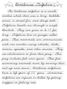 Cursive Handwriting ~ Themed Practice Pages ~ OCEAN Animals ~ 8 Pages!