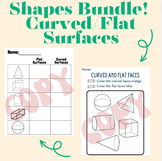 Curved and Flat Surfaces Shapes Bundle