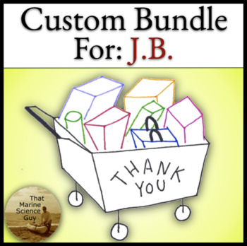 Preview of AICE Marine Chapter 1, 2, 3 - a good mix - Custom Bundle for J.B. - Thank you!