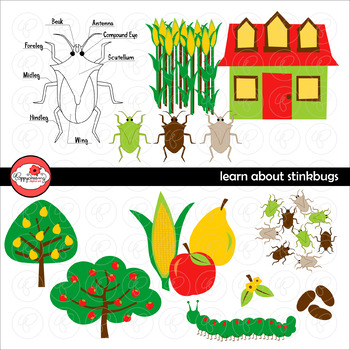 Preview of Learning about Stinkbugs Clipart by Poppydreamz