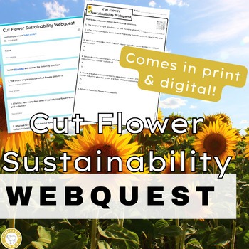 Preview of Environmental Sustainability of Cut Flowers Interactive Spring Activity