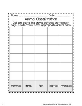 Animal Classification Chart Worksheet