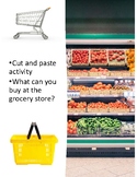 Cut and Paste Activity--What can you buy at the grocery store?