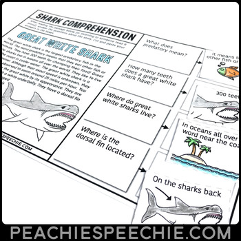 Cut and Paste Comprehension Stories for the WHOLE YEAR by Peachie Speechie