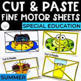 Cut and Paste Fine Motor Puzzles | Summer | Special Education