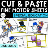 Cut and Paste Fine Motor Puzzles | January | Special Education