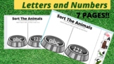 Cut and Paste Letters and numbers sort pre-k and kindergar