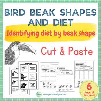Preview of Bird Beak Shapes and Diet: Cut & Paste Worksheets, Beak Shape Definition Cards