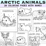 Cute Arctic Animals Coloring Pages With Their Names - 20 W