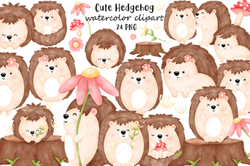 Preview of Cute Hedgehog Watercolor Clipart, Animal clipart