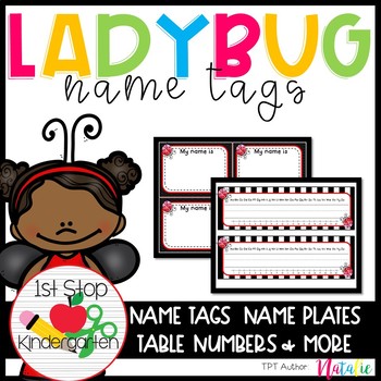 name tags for students printable lady bug theme by simply teach and design