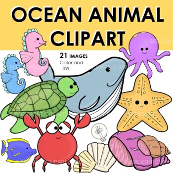 Cute Sea/Ocean Animal Clipart: Color and Black and White Images | TPT