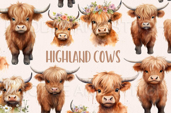 Highland Cow 25 PNG cliparts