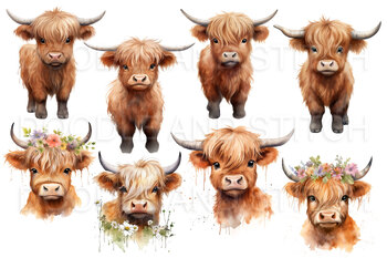 Highland Cow 25 PNG cliparts