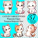 Cute cat Watercolor This picture is a cute drawing ,Clipart