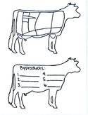 Cuts of Beef and Cow Byproducts