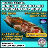 Cuttlefish Kings of Camouflage Documentary I Cephalopod Mo