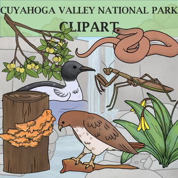 Preview of Cuyahoga Valley National Park Clipart - Plants and Animals of the National Parks