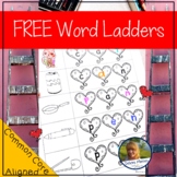 CvC Word Ladders Phonemic Awareness Segmenting  and Blendi