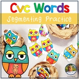 Owls CvC Words Phoneme Segmentation Game