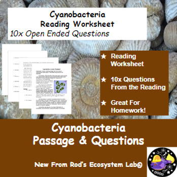 Preview of Cyanobacteria Reading Worksheet **Editable**
