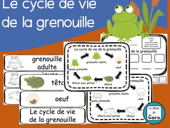 Preview of Cycle de vie de la grenouille - Imprimable (FRENCH FSL FLI)