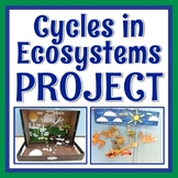 Ecosystem Project Photosynthesis Respiration Carbon Cycle 